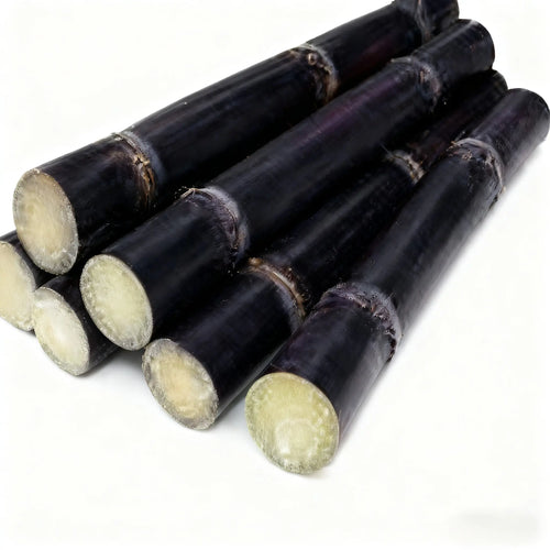 1000+ Sugar Cane Seeds, Sharing Pack, Rich in Sucrose Hybrid Make Suger Sweet Fruit Low-Maintenance High Sucrose Hybrid, Low Maintenance, Sweet Fruit for Home Gardening
