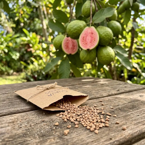 100 Tropical Red Guava Seeds for Planting - Non-Gmo, Exotic & Delicious Fruit Seeds for Home Garden - Grow Vibrant Sweet Red Guavas